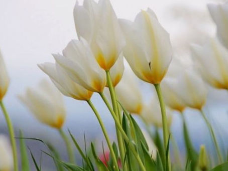 Develop Resilience As The #1 Way To Guarantee Success