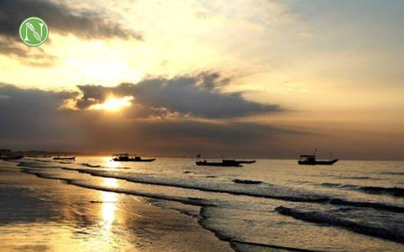 bãi biển trà cổ