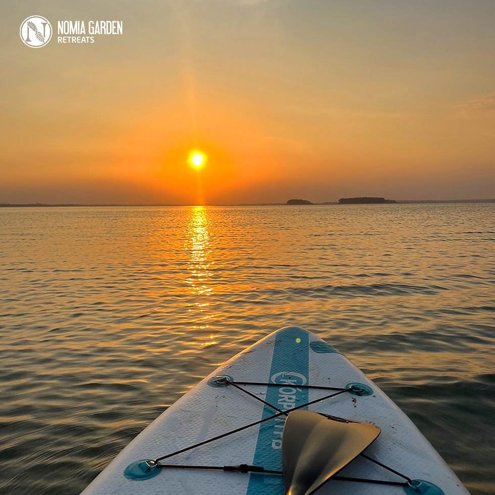 chèo sup trên hồ trị an