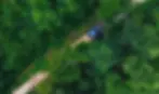 Gần Nam Cát Tiên có gì chơi