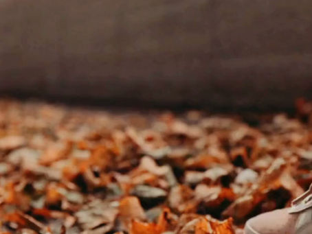 Caminhada consciente de outono com apanha de castanhas