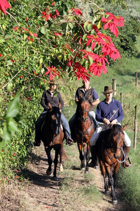 Cavalgar com Alegria (Fazenda Palmares) (1).JPG