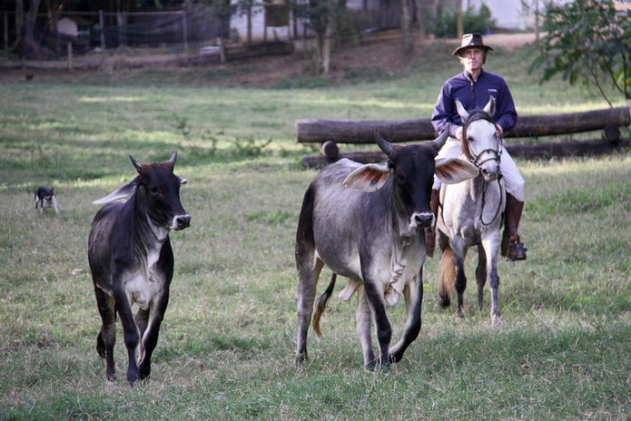 Virtude Utilidade (3).JPG