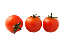 Tomato Trio_edited.png