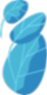 application mobile