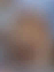 Auberge sur le thème de Pinocchio