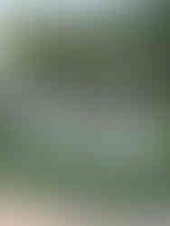 Statue 100 pour les 100ans de Disney à Disney Springs à Disney World Orlando