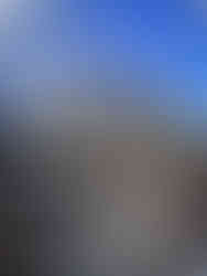 Vaisseau Faucon Millenium dans le monde Star Wars à Disney World Orlando