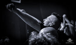 Pothead - Hirsch 19 -23