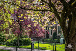 202204_Belfast_City-419