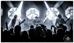 Pothead - Hirsch 19 -46