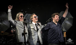 Pothead - Hirsch 19 -17