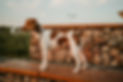 DSC00146.jpg