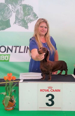 39947228_2165782703661581_43263495439950