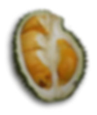 Thumbnail: Fresh Durian Supply