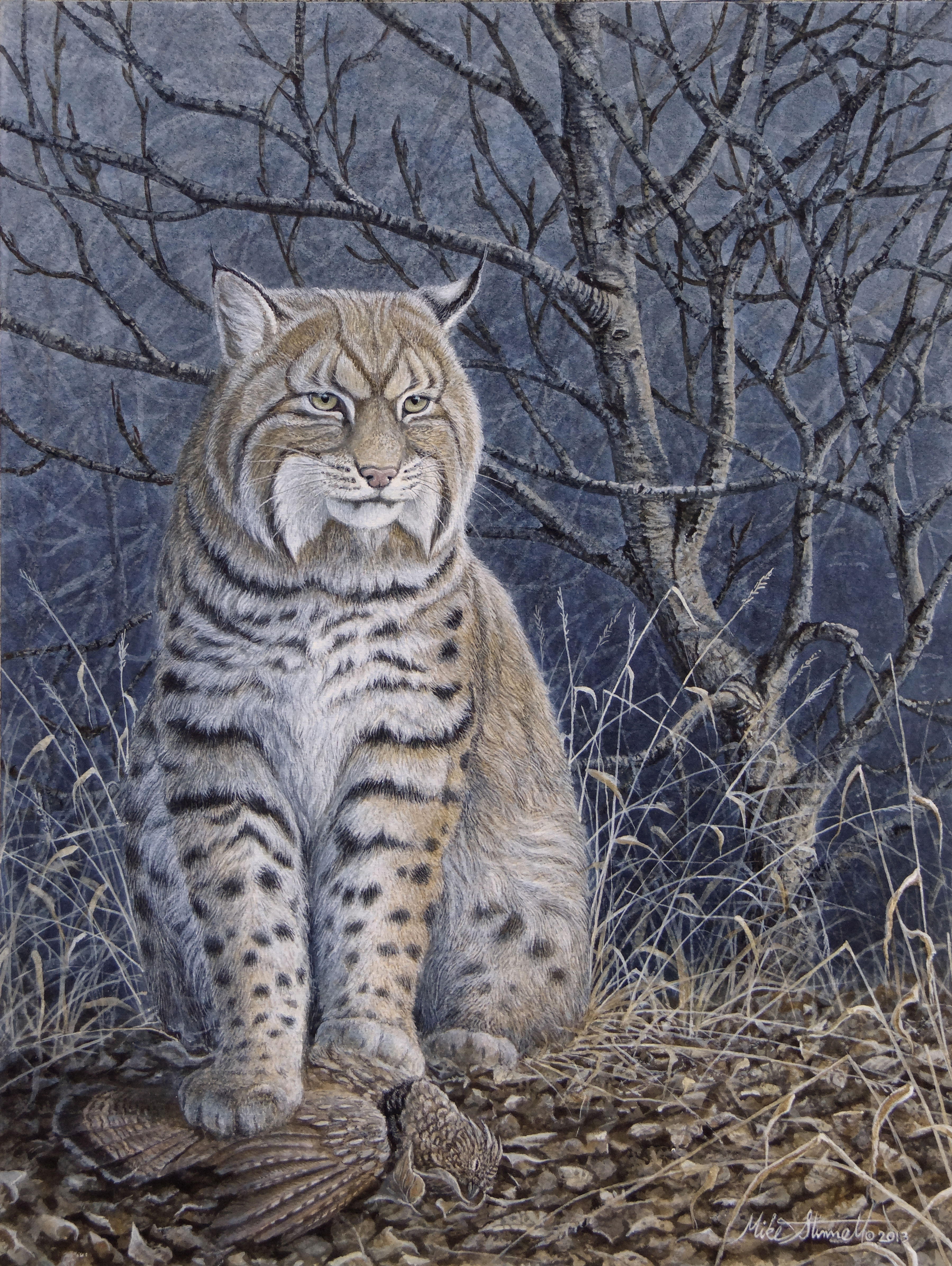 Bobcat | Original Painting by Mike Stinnett