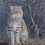 Thumbnail: Bobcat | Original Painting by Mike Stinnett
