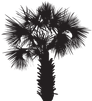 clipart-tree-corn-19.png