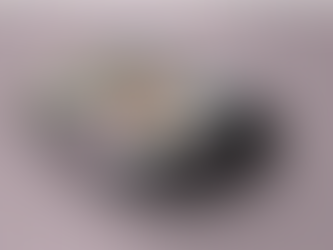 Coursework Development(Minor Task) - Final Digipak/Social Media Page