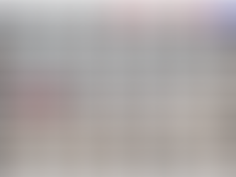 PRELIMINARY WORK PROJECT-MAKING OFF