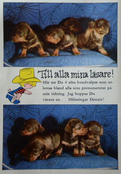Det var bättre förr - 0056