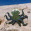Thumbnail: Octopus