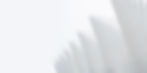 AboutUs_Architecture.jpg