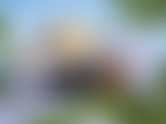 Smart Homes Start with Smart Locks!