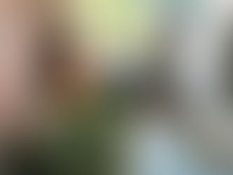 ARTIGO #153 | SEMANA DO CONSUMIDOR: OPORTUNIDADES, COMPORTAMENTO E ESTRATÉGIAS PARA CRESCER NO VAREJO