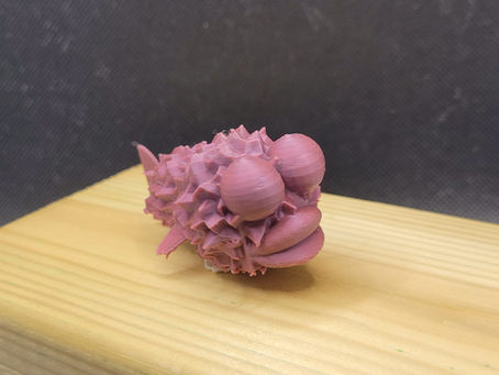 אתגר #1 3dBlockZoo