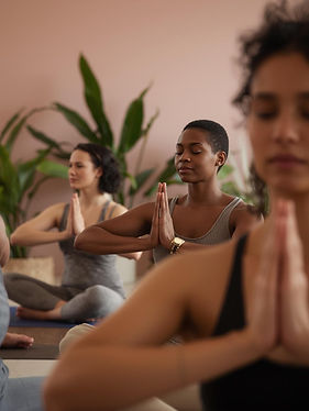 photograph of people doing yoga in a studio with blush walls and plants. dont show too muc