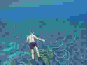 snorkeling