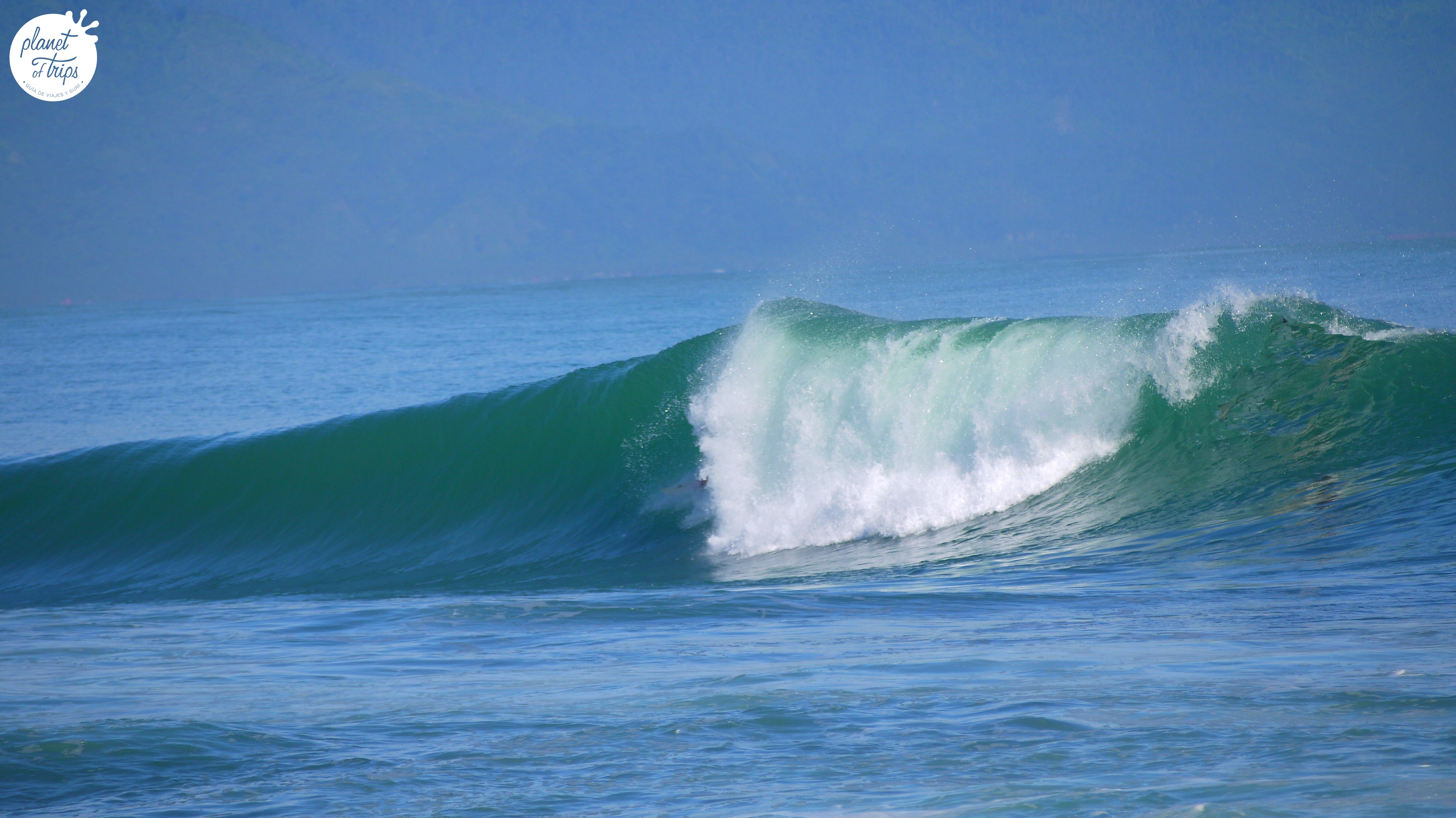 bodyboard cemento cobra reef