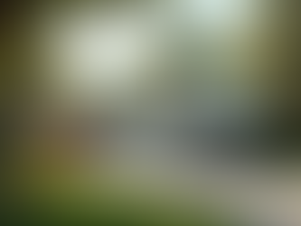 Top RV Detailing Services Near You