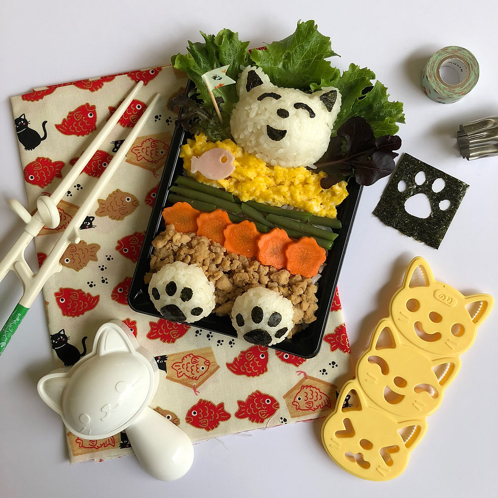Bento culinaire le chat qui dort