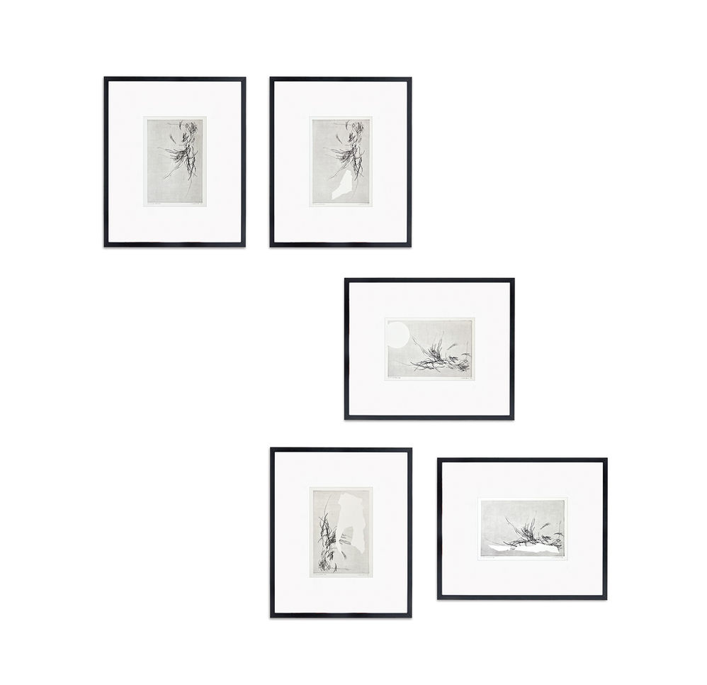 Radierung, Druck, Grafik, Schwarz-Weiß, limitierte Edition, Kaltnadelradierung