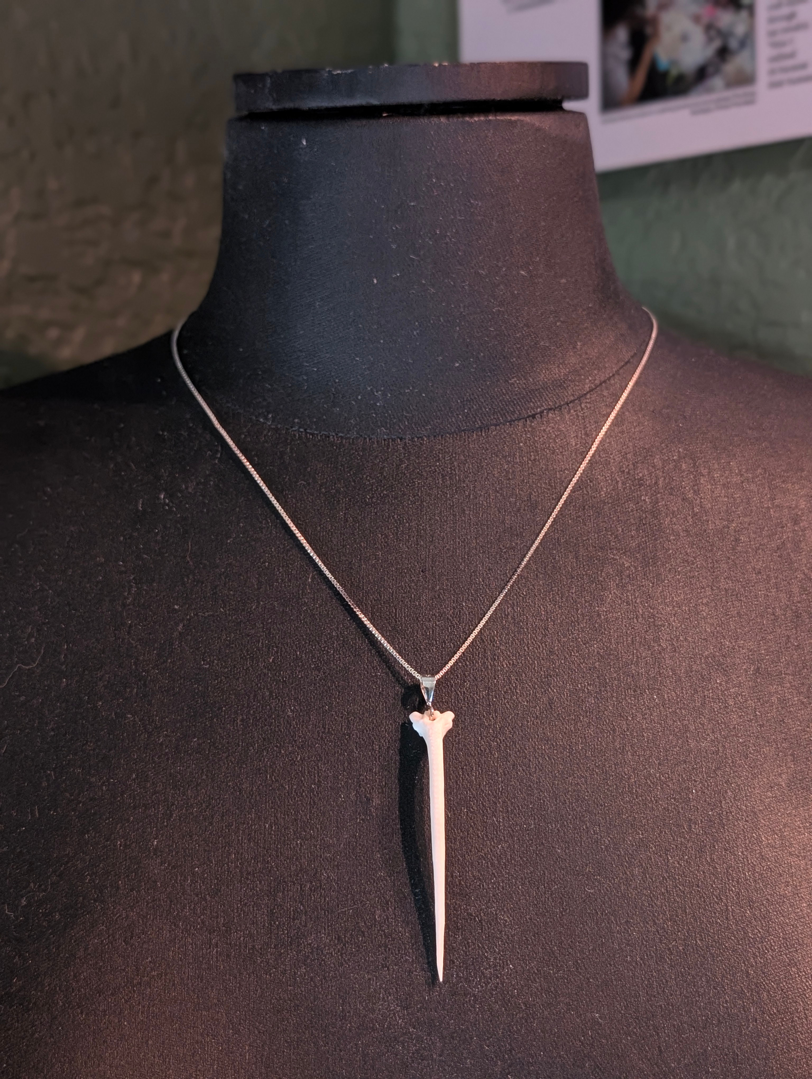 Real Catfish Dorsal Spine Pendant Necklace | 18" Sterling Silver Venetian Box Chain β Bone Boutique