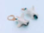 Florida Softshell Turtle Vertebrae Evil Eye Earrings | Bone Boutique