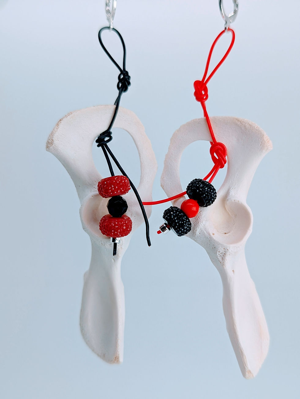 Thumbnail: Road Salvaged Raccoon Pelvis and USB-C Cable Earrings | Bone Boutique