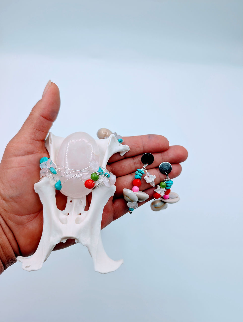 The Legacy Cradle | Armadillo Pelvis, Rose Quartz & Cowrie Shell Set