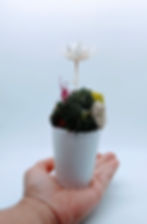 Pleco Fish Scale Flower Sculpture | Bone Boutique