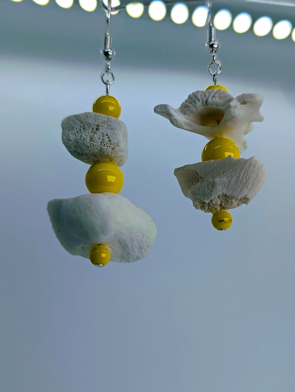 Florida Wild Boar Sacrum & Epiphysis Sunshine Drop Earrings