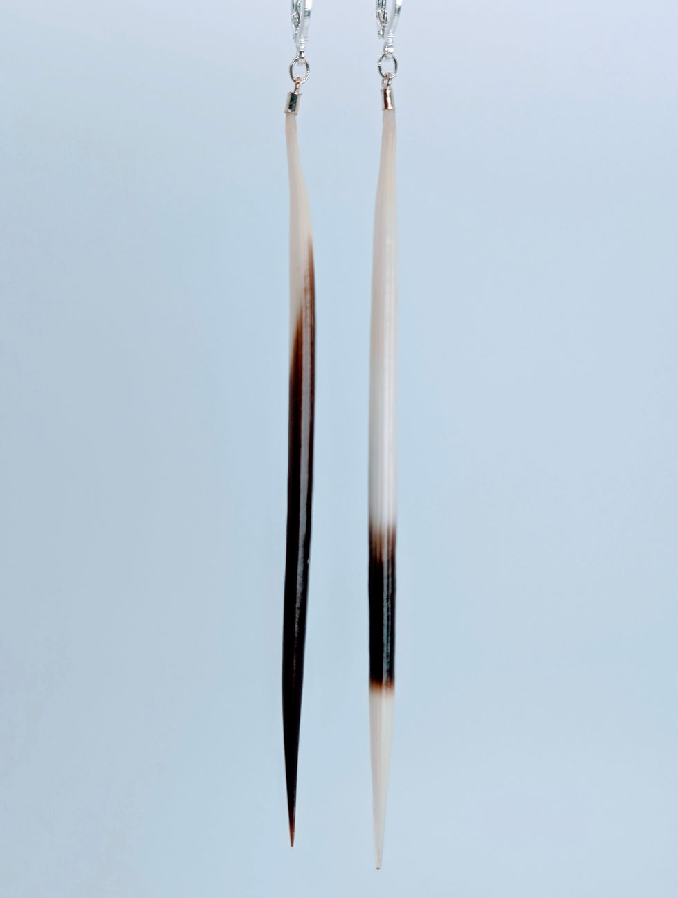 Untamed Porcupine Quill Statement Earrings