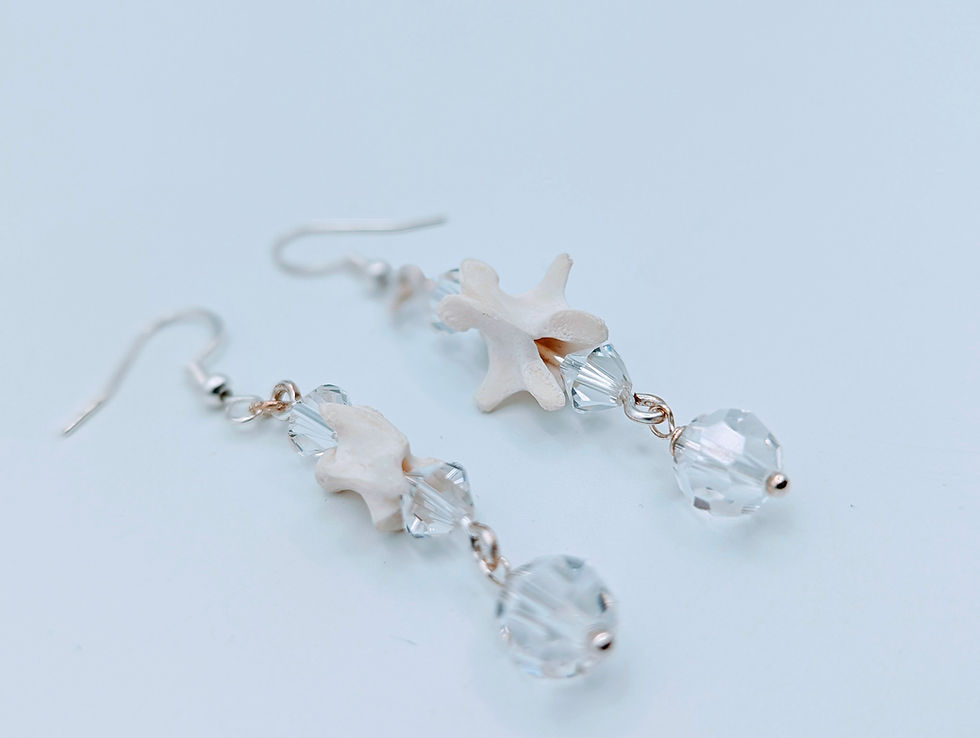 Miniature : Real Snapping Turtle Vertebrae Earrings with Preciosa Crystals | Wearable Conservation – Bone Boutique