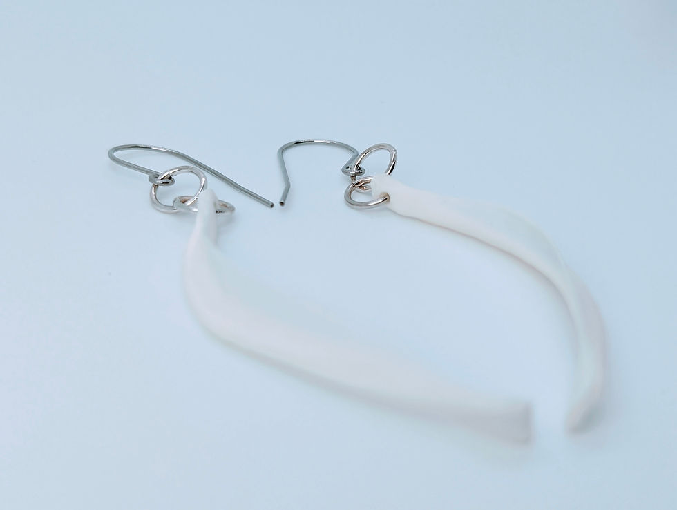 Thumbnail: 9-Banded Armadillo Rib Earrings - Robust Curves of the Florida Wilds