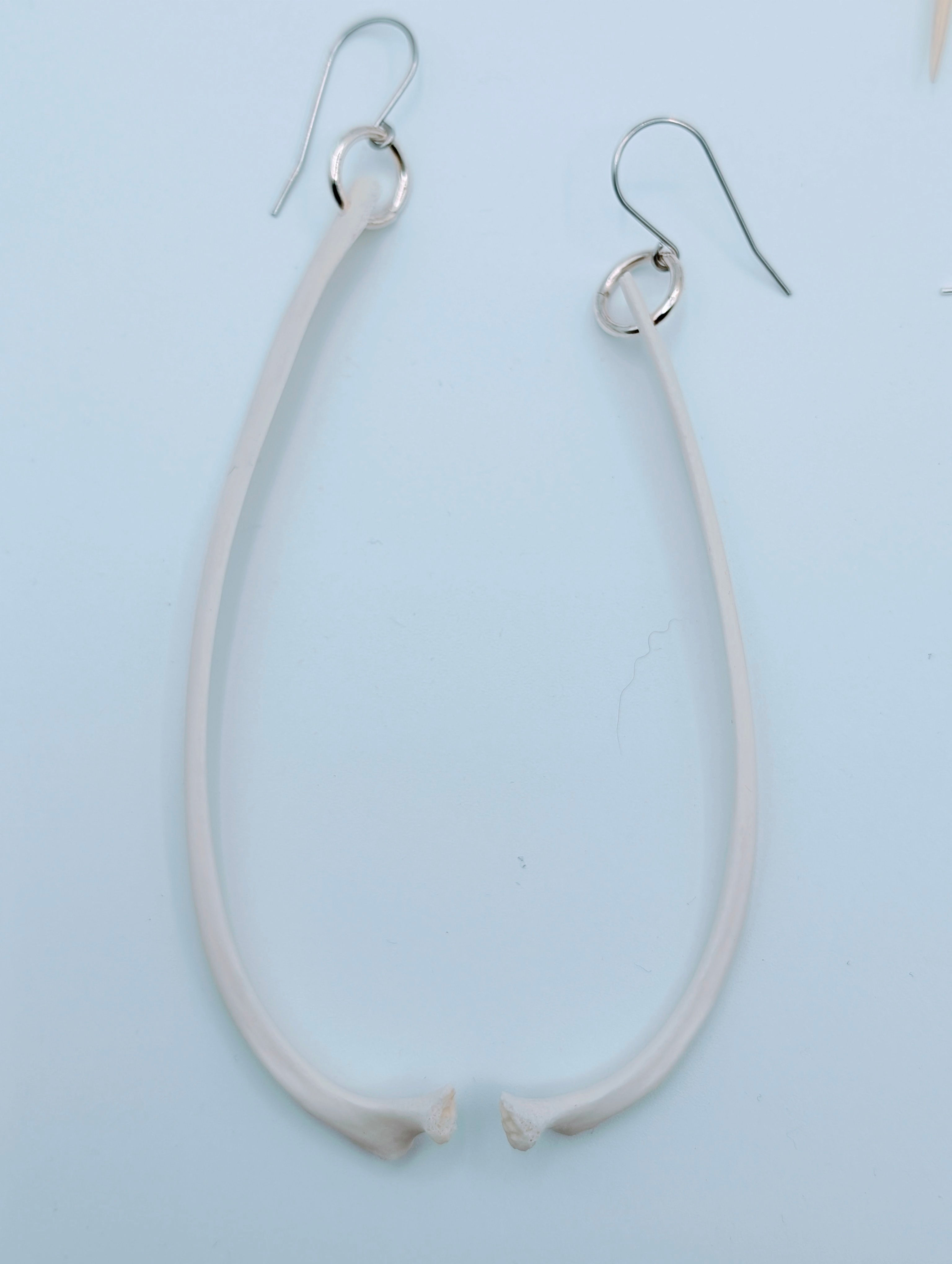 Asymmetrical Goat Rib Hoop Earrings