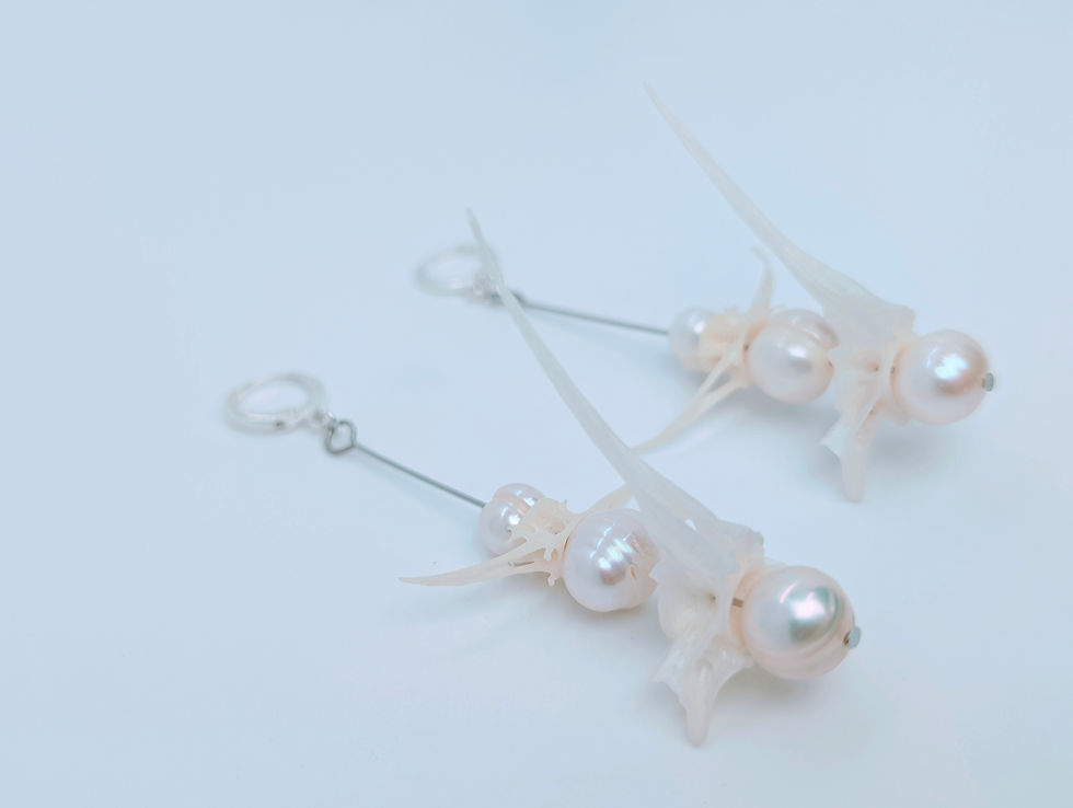 Thumbnail: Bullhead Catfish Vertebrae & Freshwater Pearl Earrings