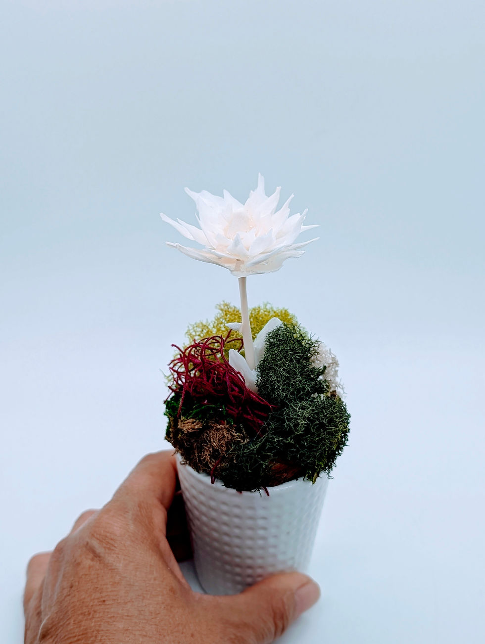 Miniature : Pleco Fish Scale Flower Sculpture | Bone Boutique
