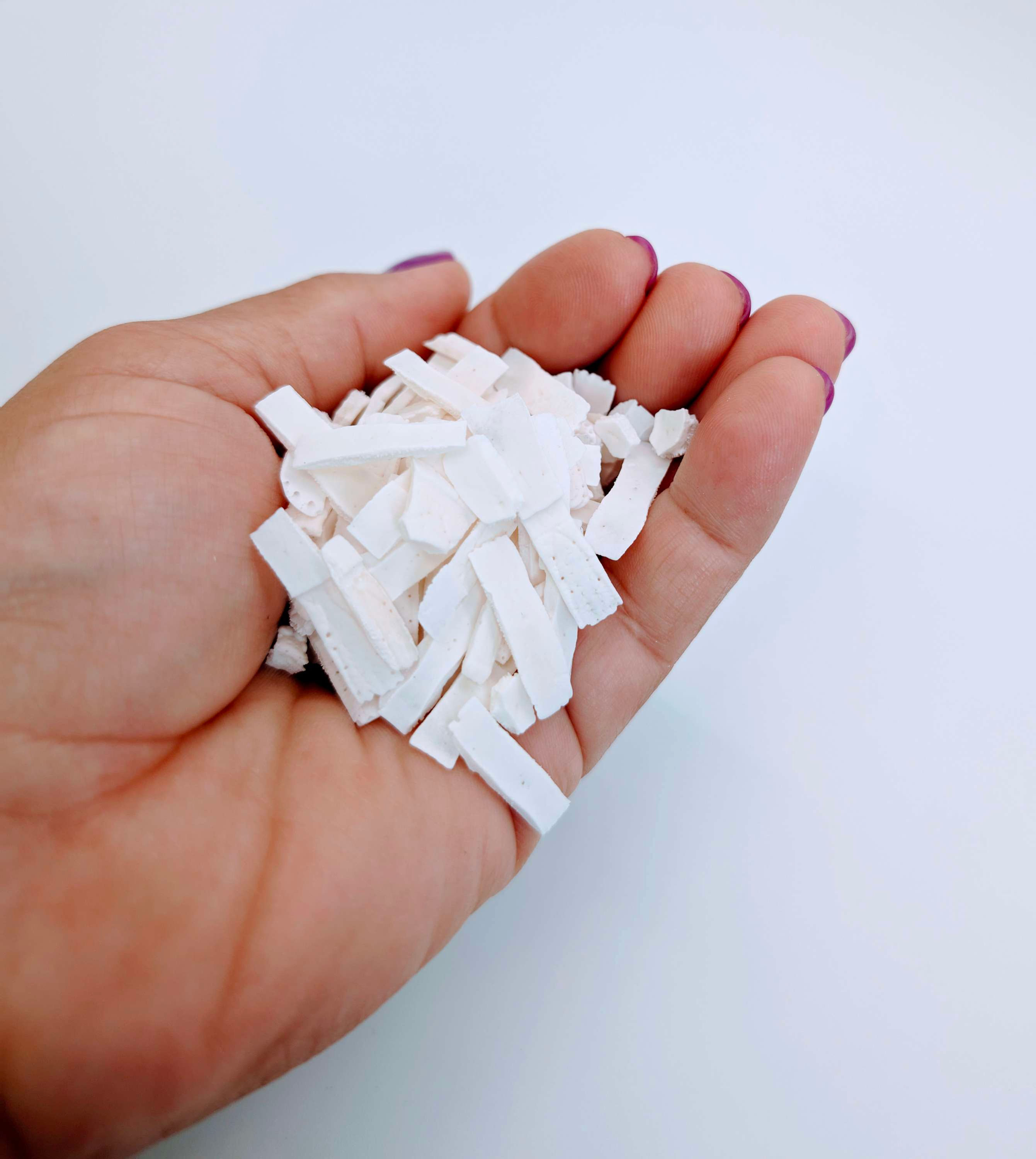 9-Banded Armadillo Scutes (by oz)