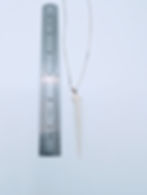 Real Catfish Dorsal Spine Pendant Necklace | 18" Sterling Silver Venetian Box Chain – Bone Boutique